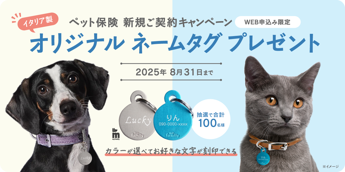 新規ご契約プレゼントキャンペーン