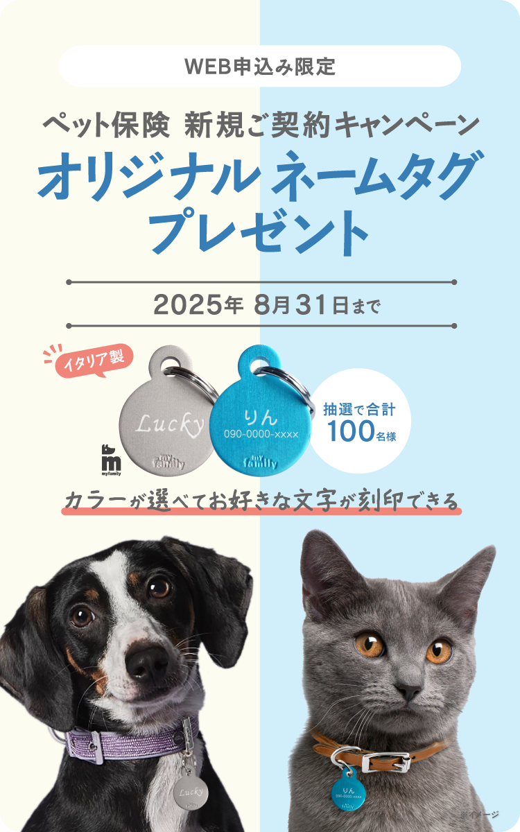 新規ご契約プレゼントキャンペーン