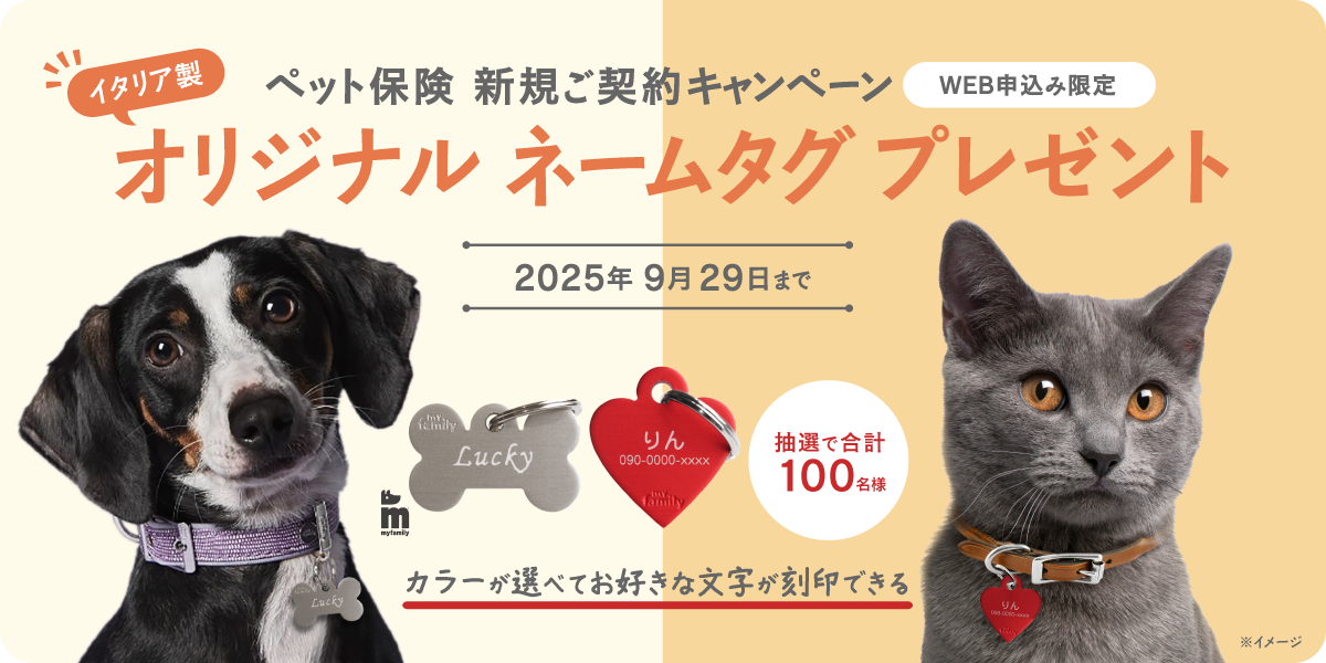 新規ご契約プレゼントキャンペーン