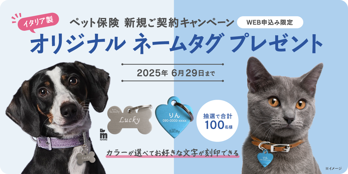 新規ご契約プレゼントキャンペーン