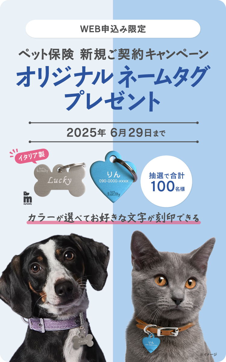 新規ご契約プレゼントキャンペーン