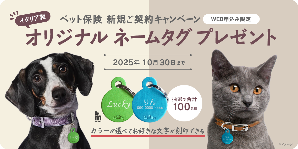 新規ご契約プレゼントキャンペーン