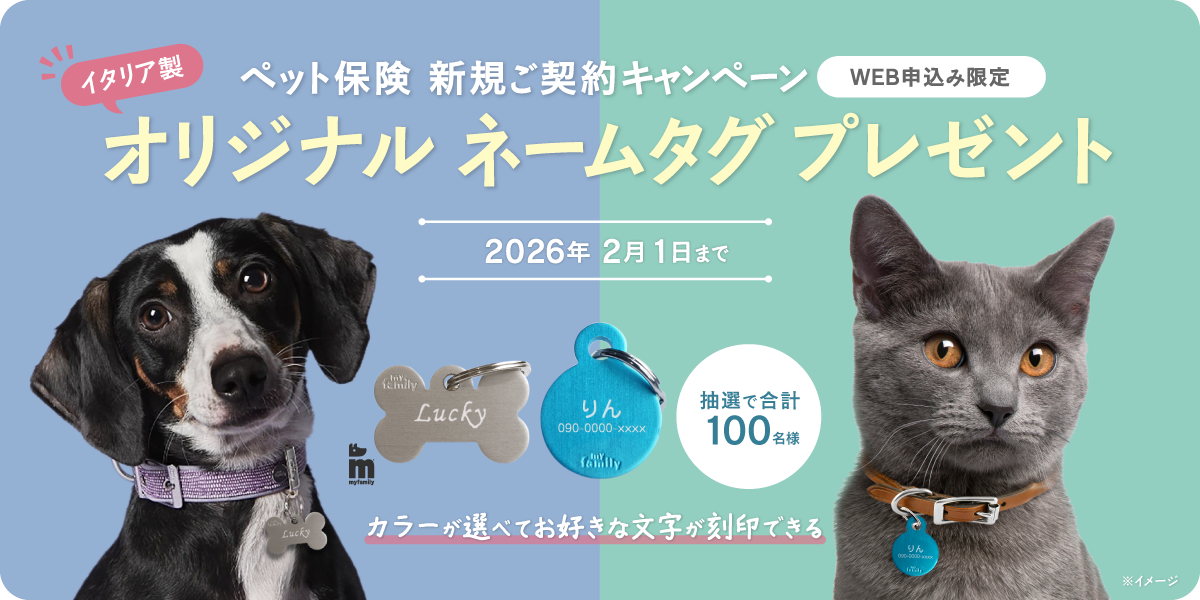 新規ご契約プレゼントキャンペーン