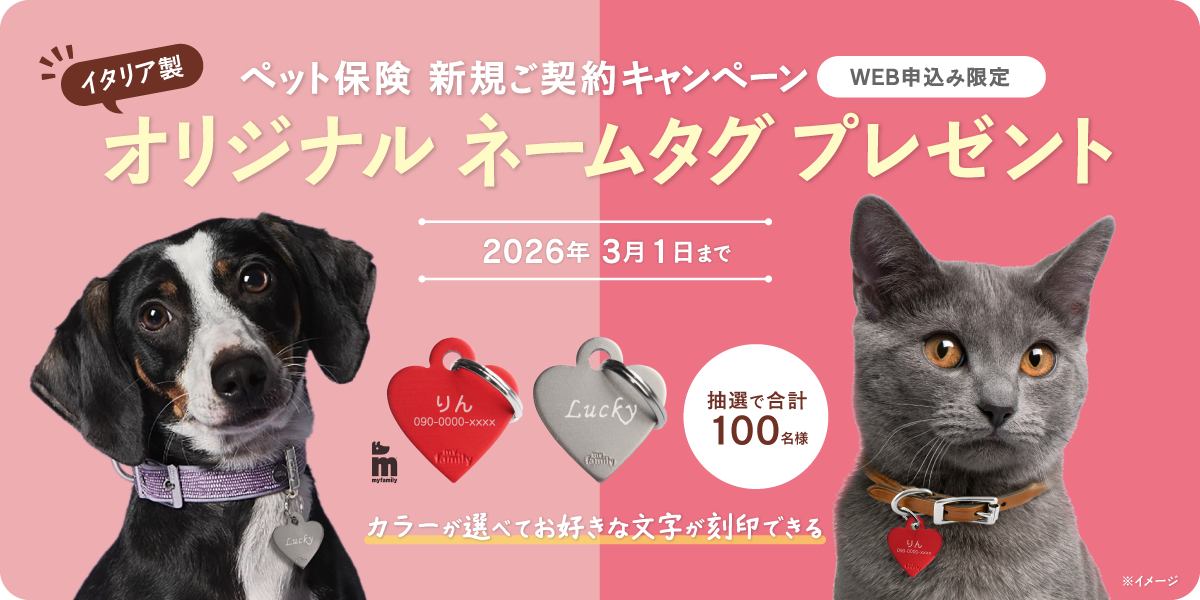 新規ご契約プレゼントキャンペーン