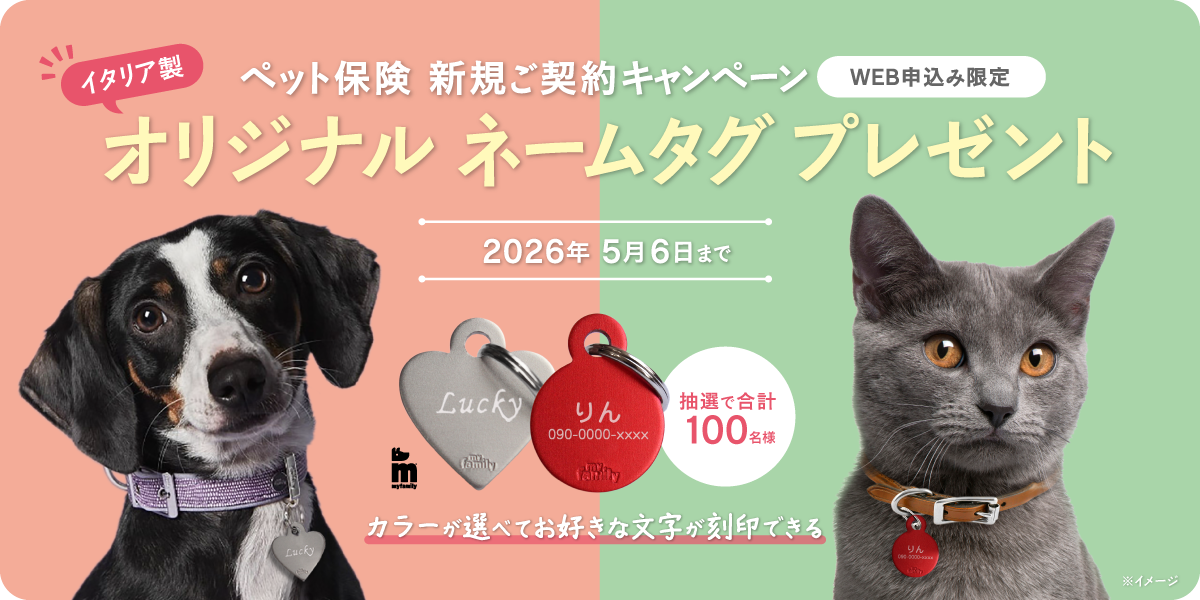 新規ご契約プレゼントキャンペーン