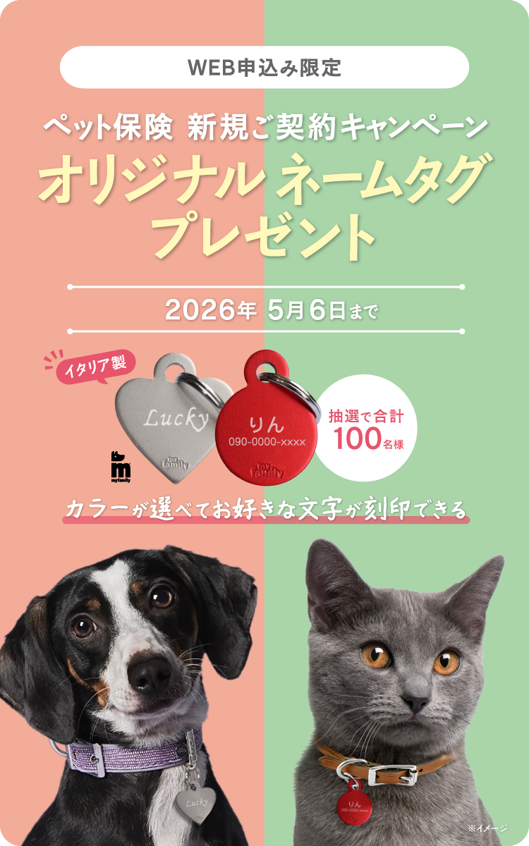 新規ご契約プレゼントキャンペーン