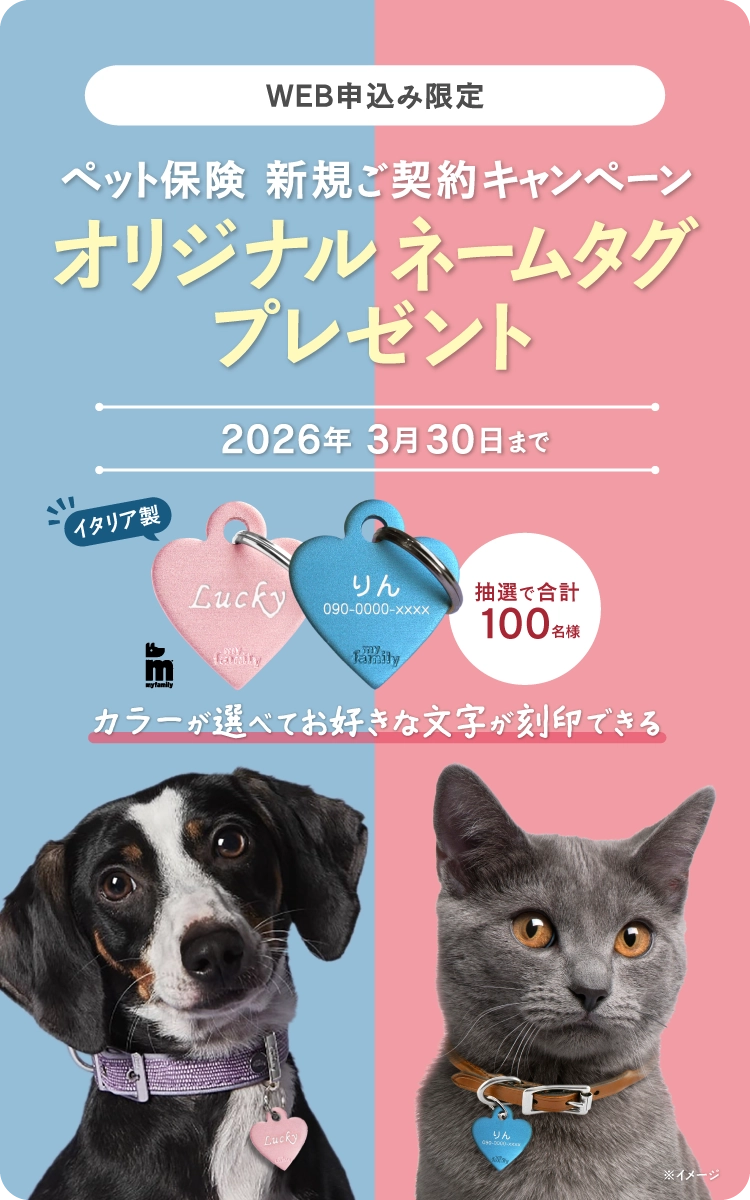 新規ご契約プレゼントキャンペーン